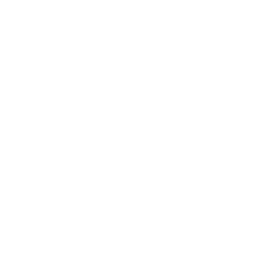 MetLife Stadium